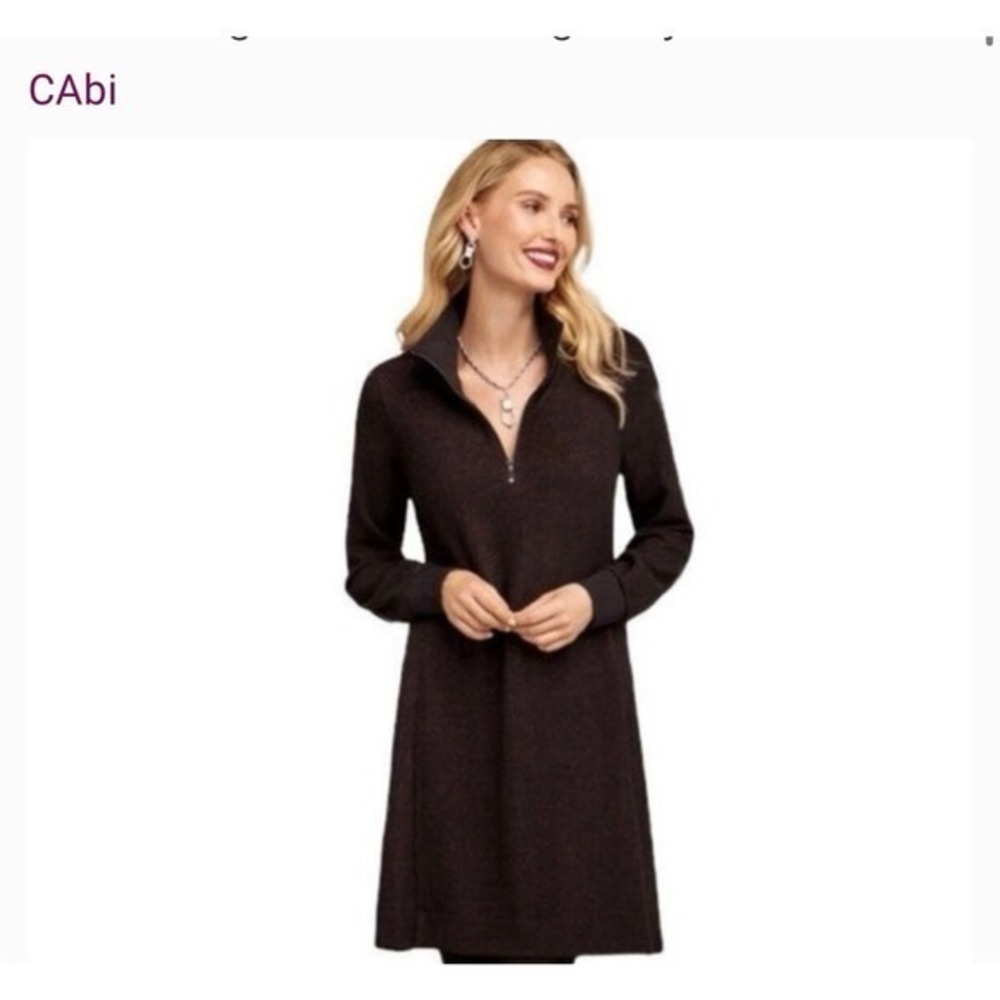 Cabi Cuddle Dress
